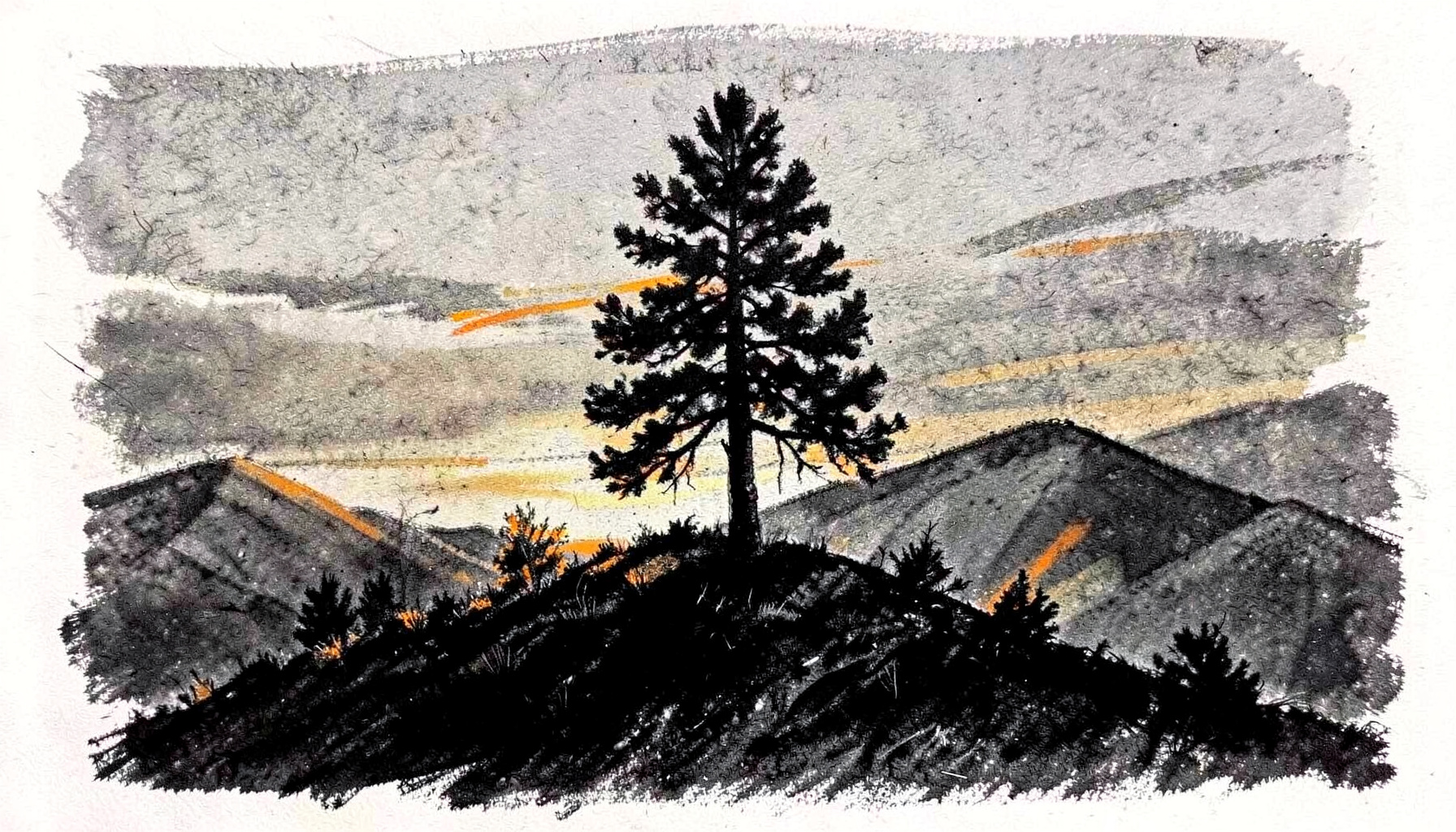 Bold charcoal sketch of a lone pine tree on a ridge at dusk, deep grays and muted gold tones evoking the Ponderosa landscape